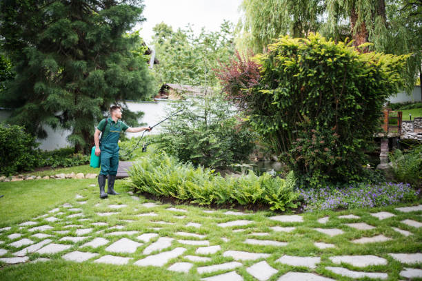 Best Local Pest Control Services  in Skyline Acres, OH