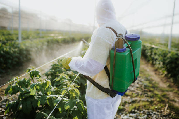 Best Exterminator Services  in Skyline Acres, OH